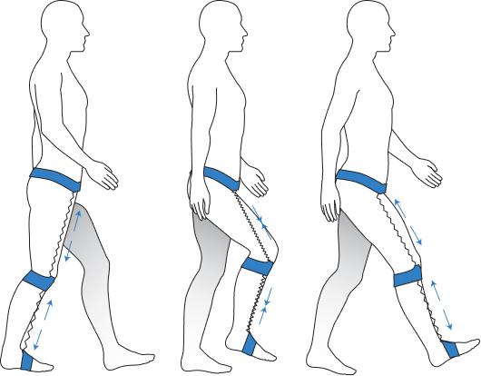 How to Put on Your TripleFlex